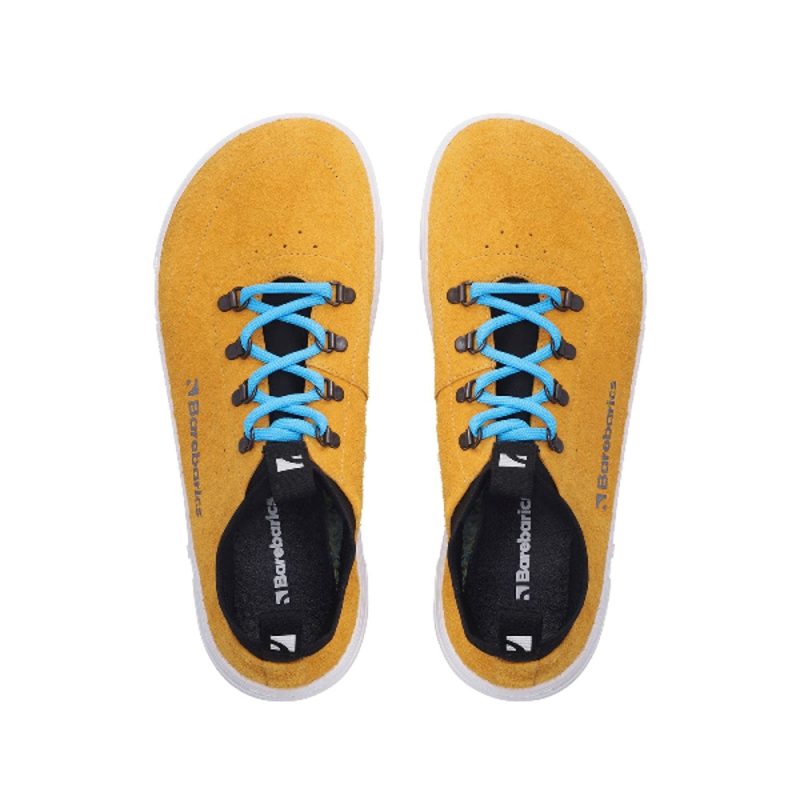 barebarics bronx mustard top down 1eff9671 82fe 4bc9 9593 71b62e149ff5